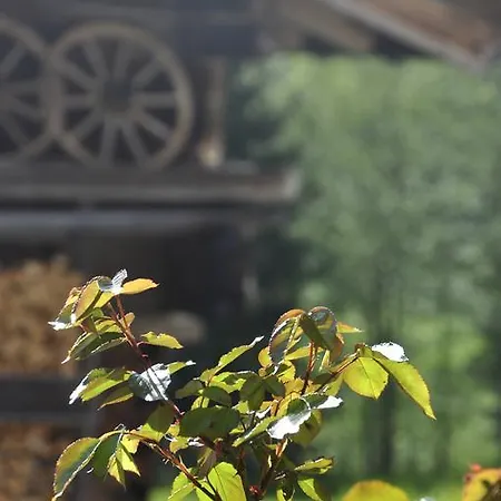 Kasperbauer 티롤 키르흐베르크