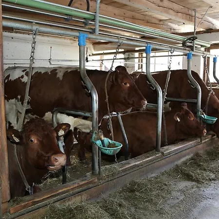 דירה Kasperbauer