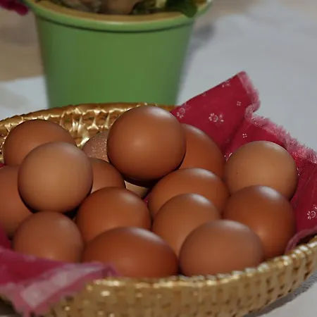 דירה Kasperbauer קירשברג אין טירול