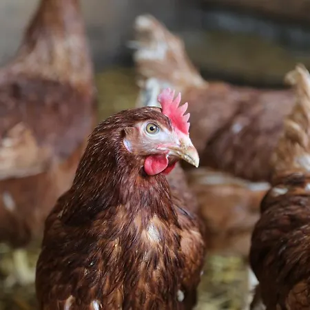 아파트 Kasperbauer