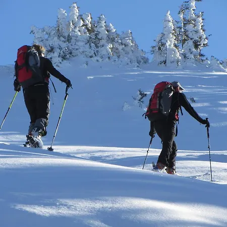 아파트 Kasperbauer 티롤 키르흐베르크