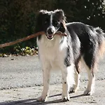 Kasperbauer Apartment