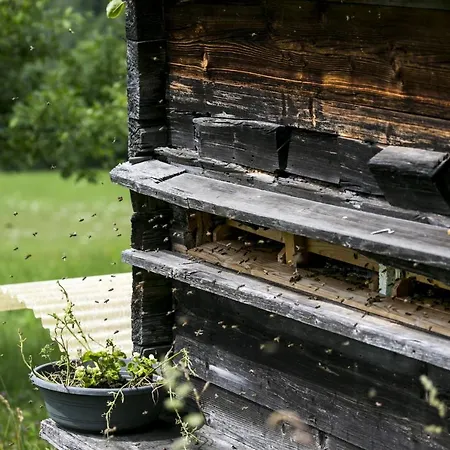 卡斯佩尔保尔公寓