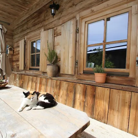 卡斯佩尔保尔公寓 公寓 *