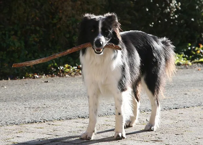 卡斯佩尔保尔公寓 公寓