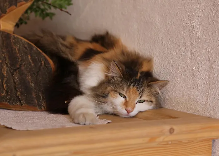 公寓 卡斯佩尔保尔公寓